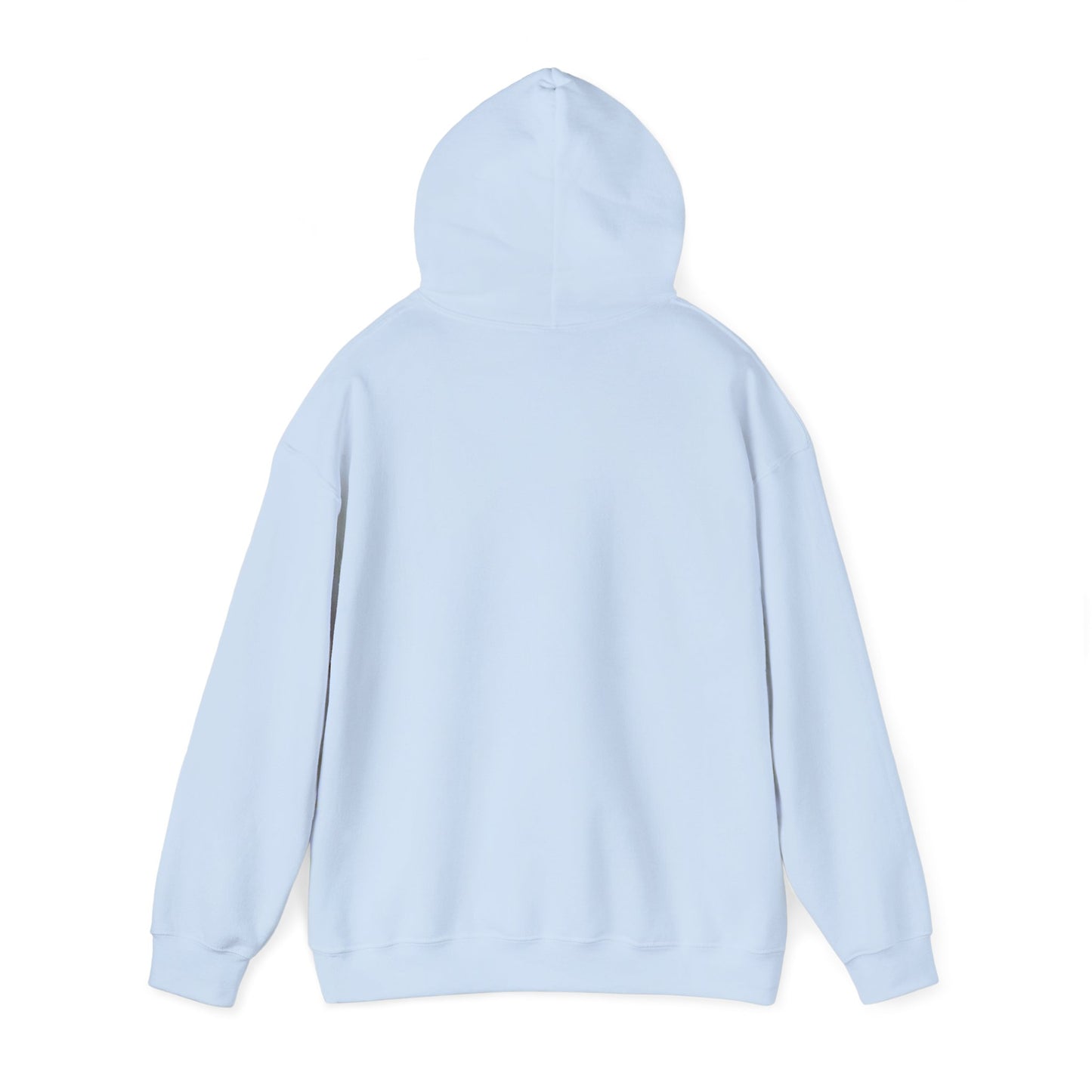 JESUS SAVIOR Motivational Hooded Sweatshirt