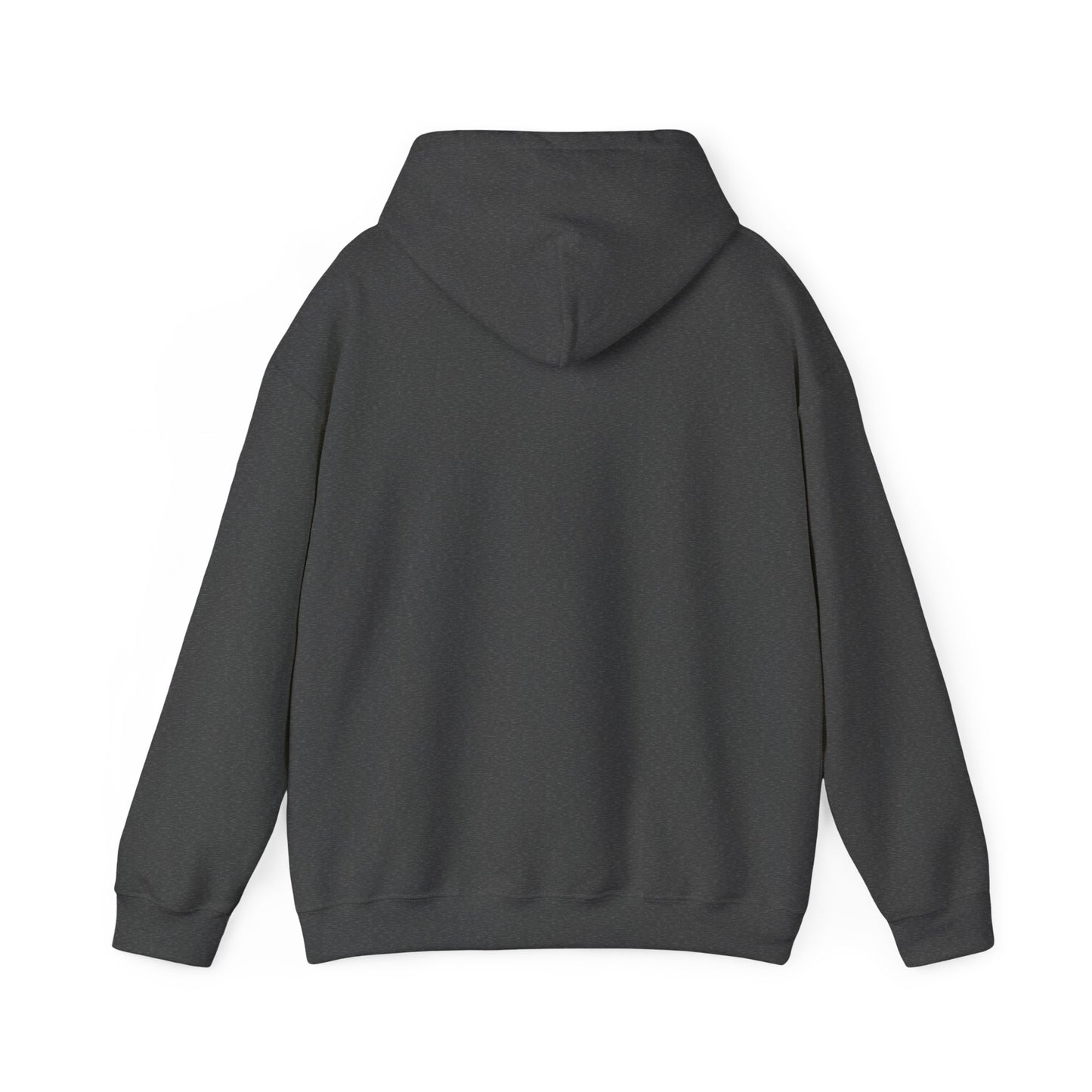 JESUS SAVIOR Motivational Hooded Sweatshirt