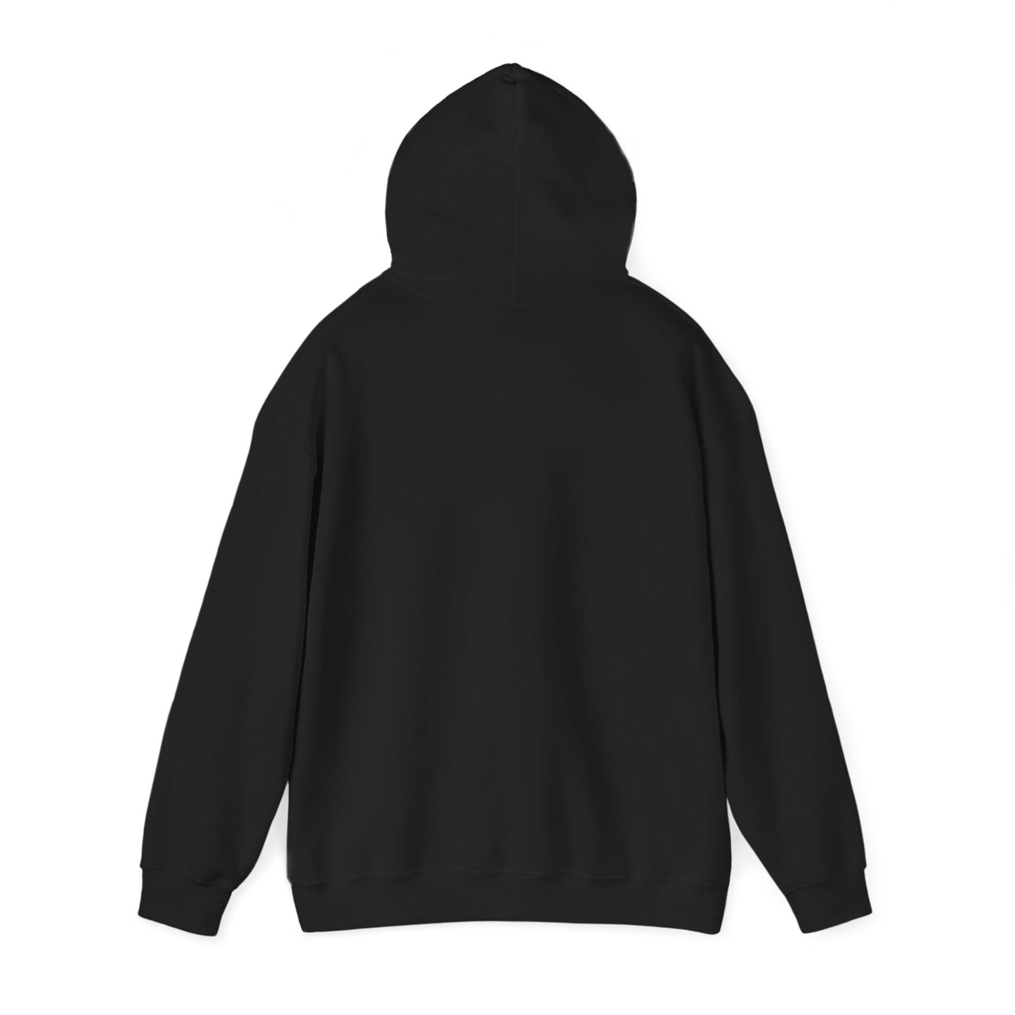 JESUS SAVIOR Motivational Hooded Sweatshirt