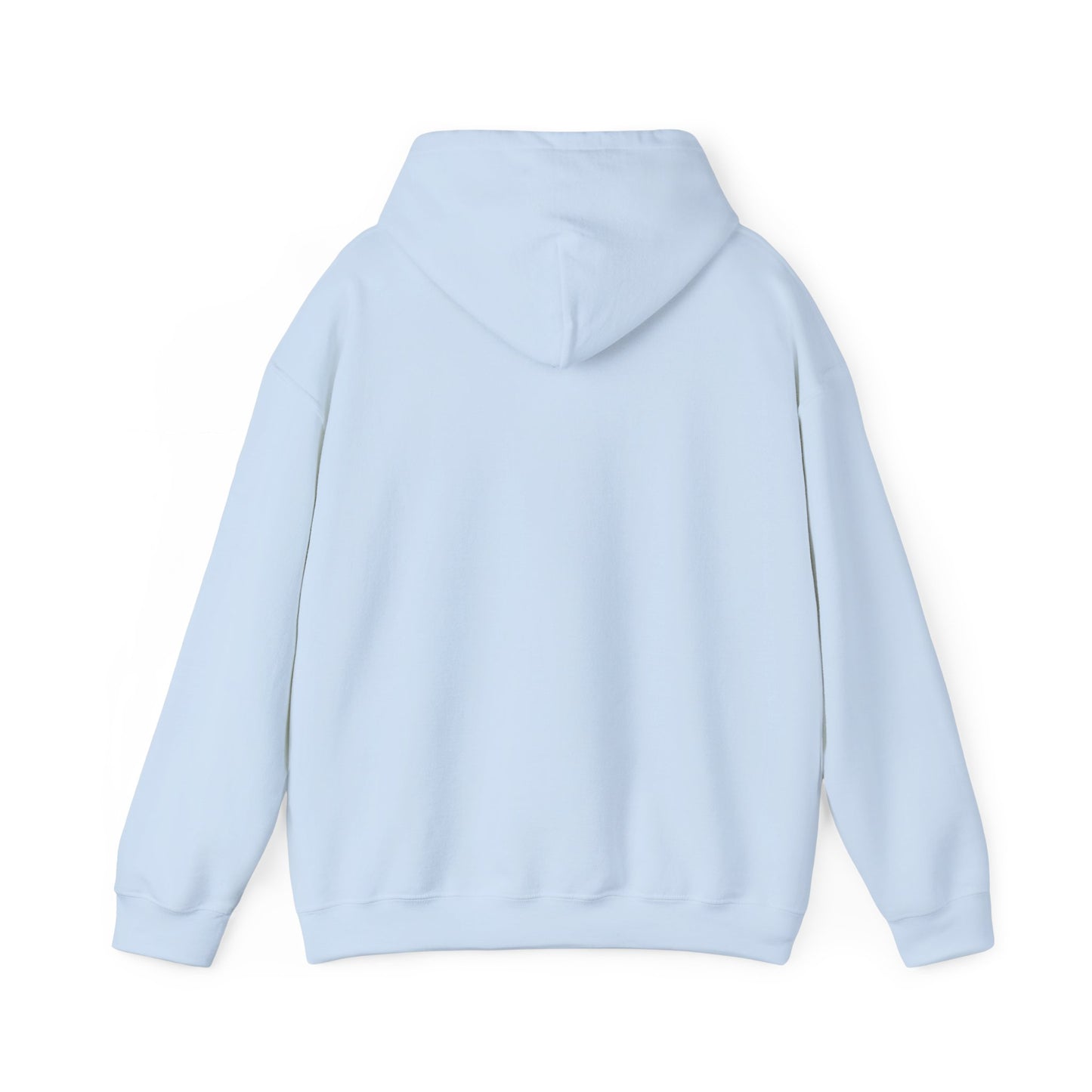 JESUS SAVIOR Motivational Hooded Sweatshirt