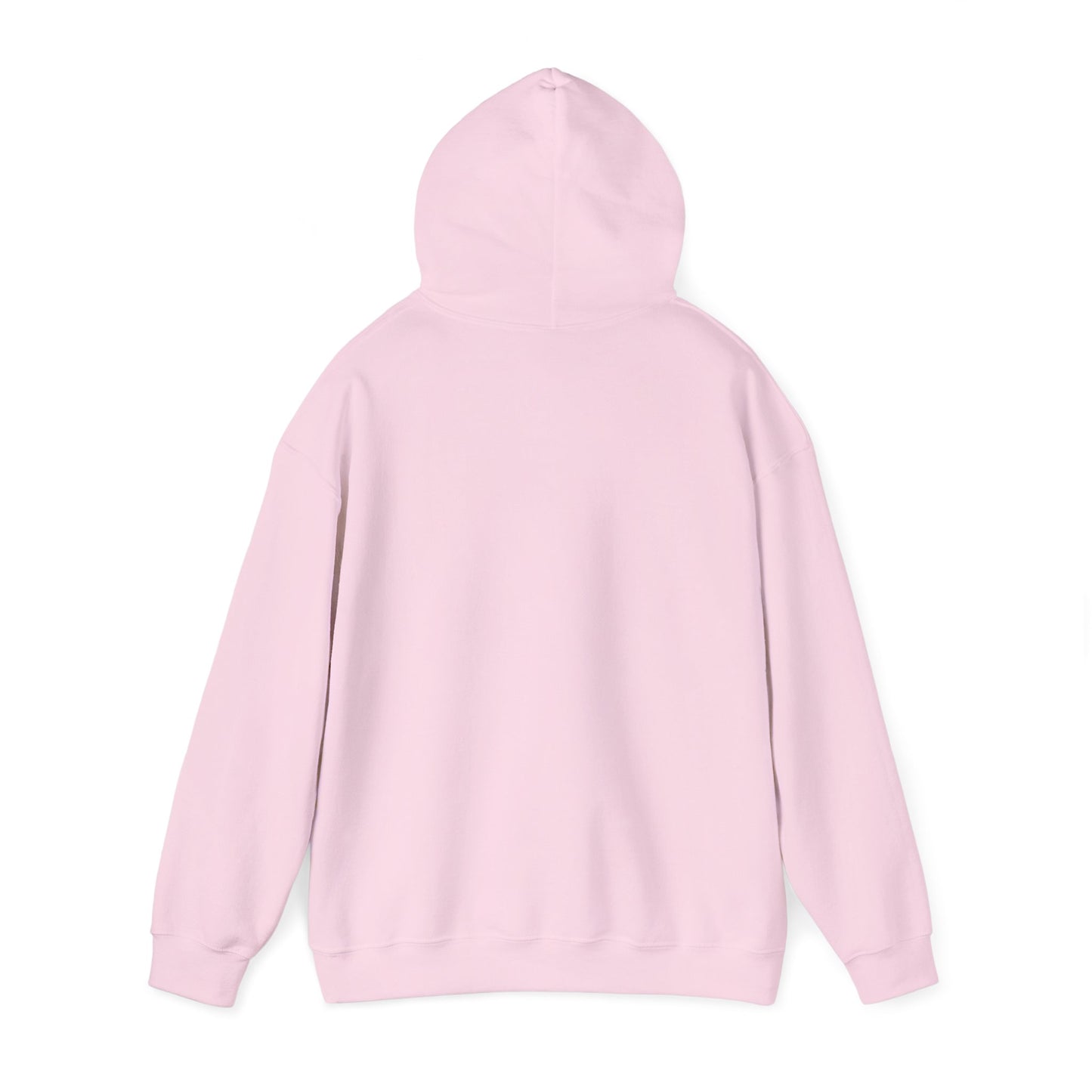 JESUS SAVIOR Motivational Hooded Sweatshirt