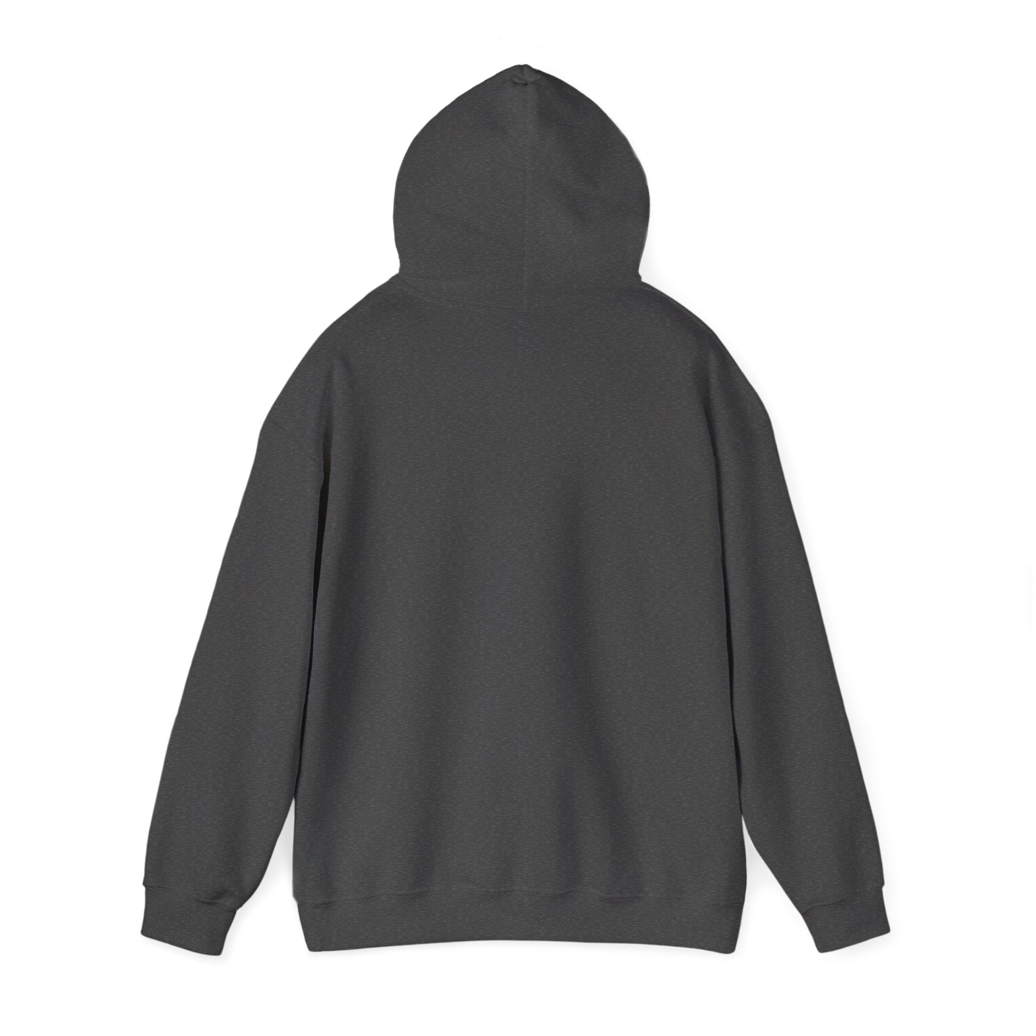 Sent Motivational Hooded Sweatshirt