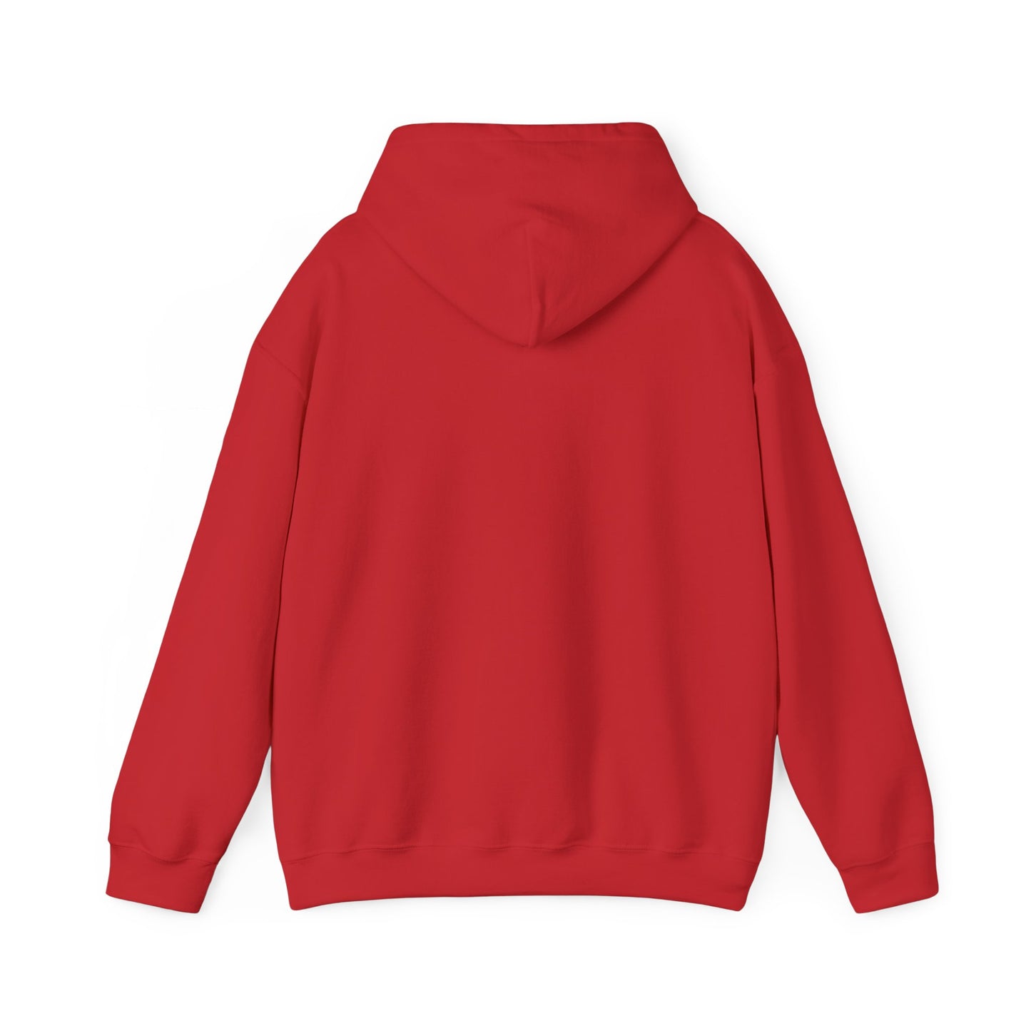 JESUS SAVIOR  Motivational Hooded Sweatshirt