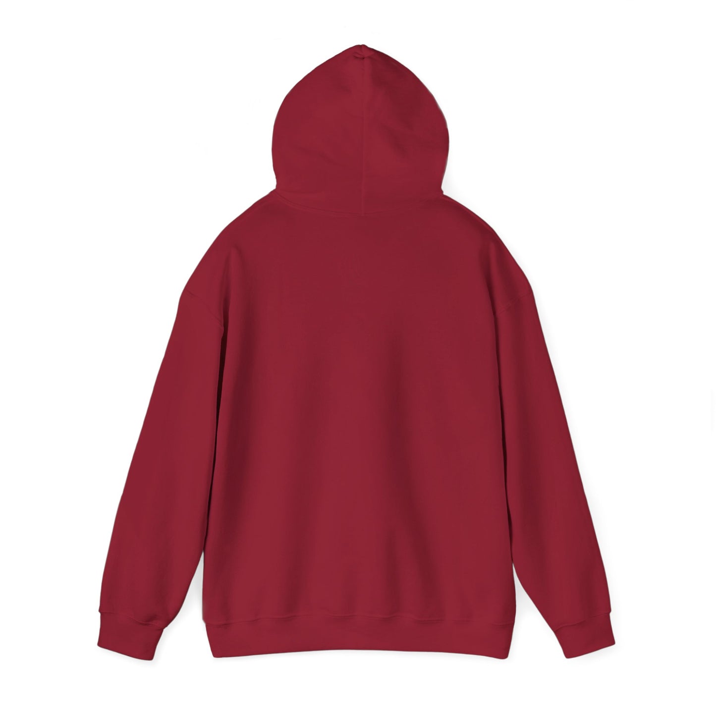 Psalms 91 Motivational Hooded Sweatshirt