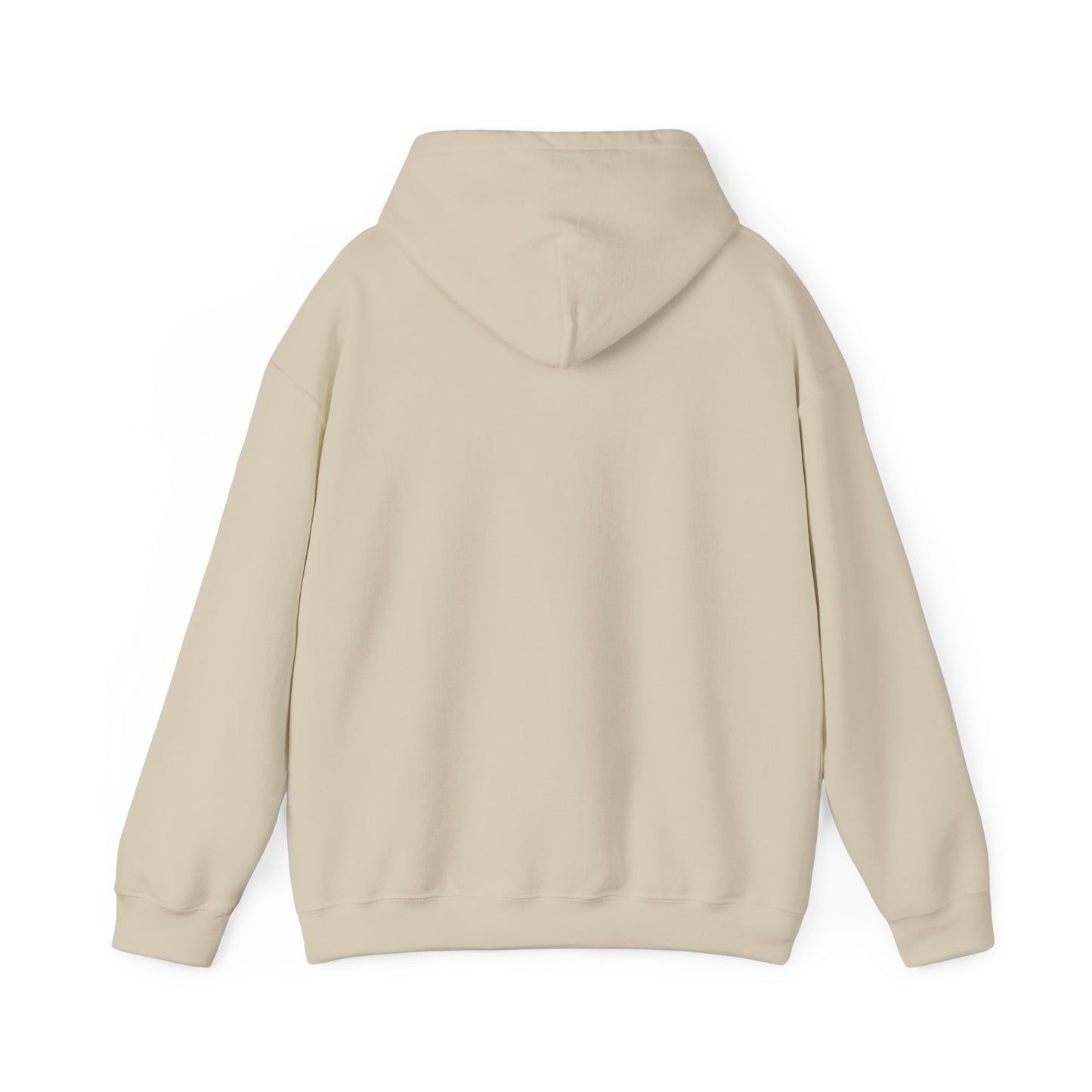 Psalms 91 Motivational Hooded Sweatshirt